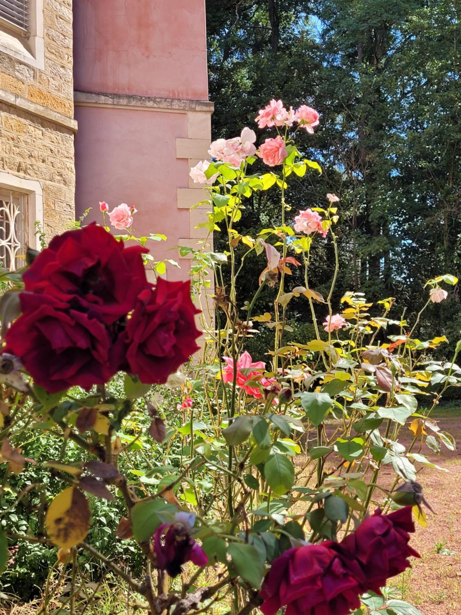 Bed and Breakfast L'Ancre Vive Charentay Exterior foto
